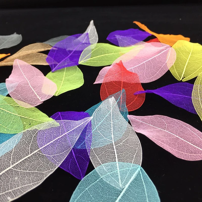 5-6cm/24個入り、自然なリアルタッチの葉の花びら、DI - Home Decor Diy のレビューと価格