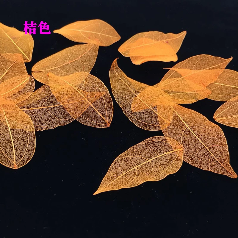 5-6cm/24個入り、自然なリアルタッチの葉の花びら、DI - Home Decor Diy のレビューと価格