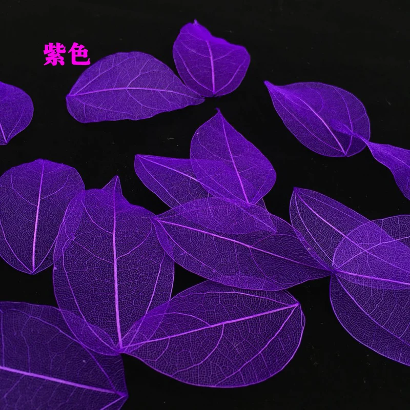 5-6cm/24個入り、自然なリアルタッチの葉の花びら、DI - Home Decor Diy のレビューと価格