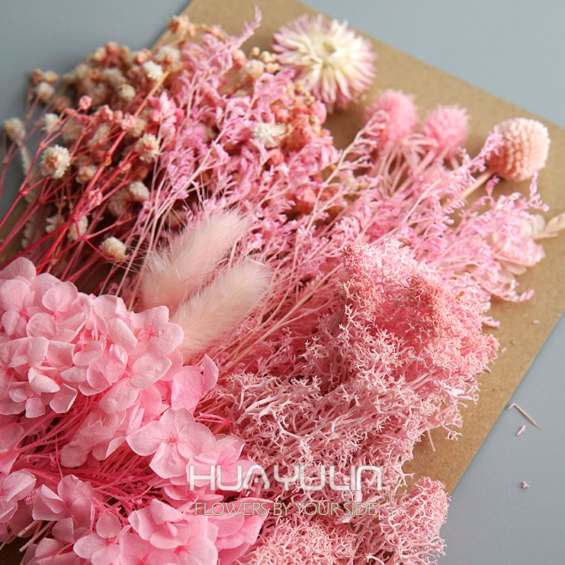 1 パック人工植物ドライ本物の花プリザーブド材料エポキシ樹脂 - Home Decor Manufacturers のレビューと価格