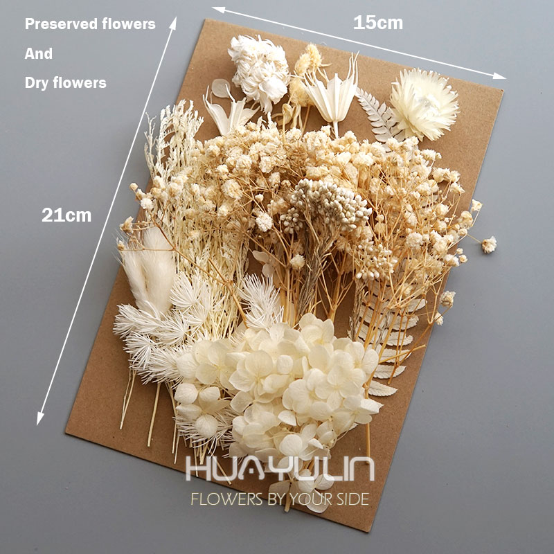 1 パック人工植物ドライ本物の花プリザーブド材料エポキシ樹脂 - Home Decor Manufacturers のレビューと価格